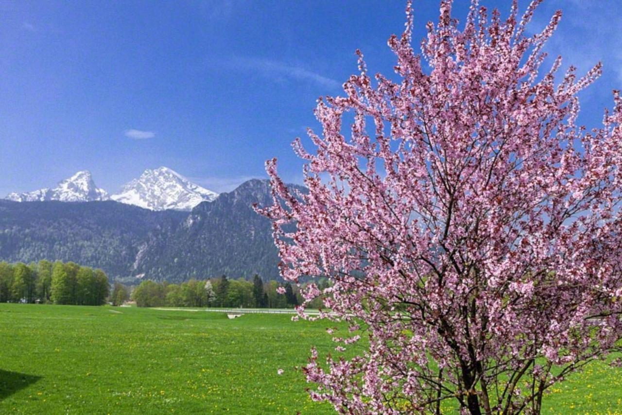 فيلا Triembachhof Schönau am Königssee المظهر الخارجي الصورة
