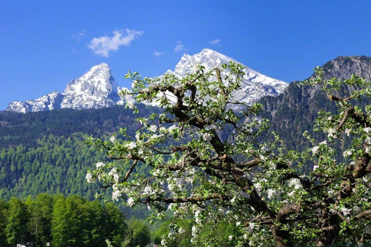 فيلا Triembachhof Schönau am Königssee المظهر الخارجي الصورة